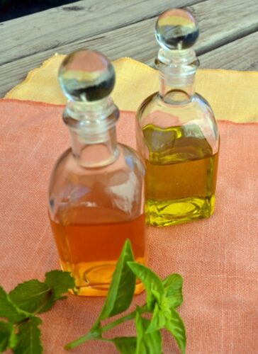 Fermented Peach Vinegar